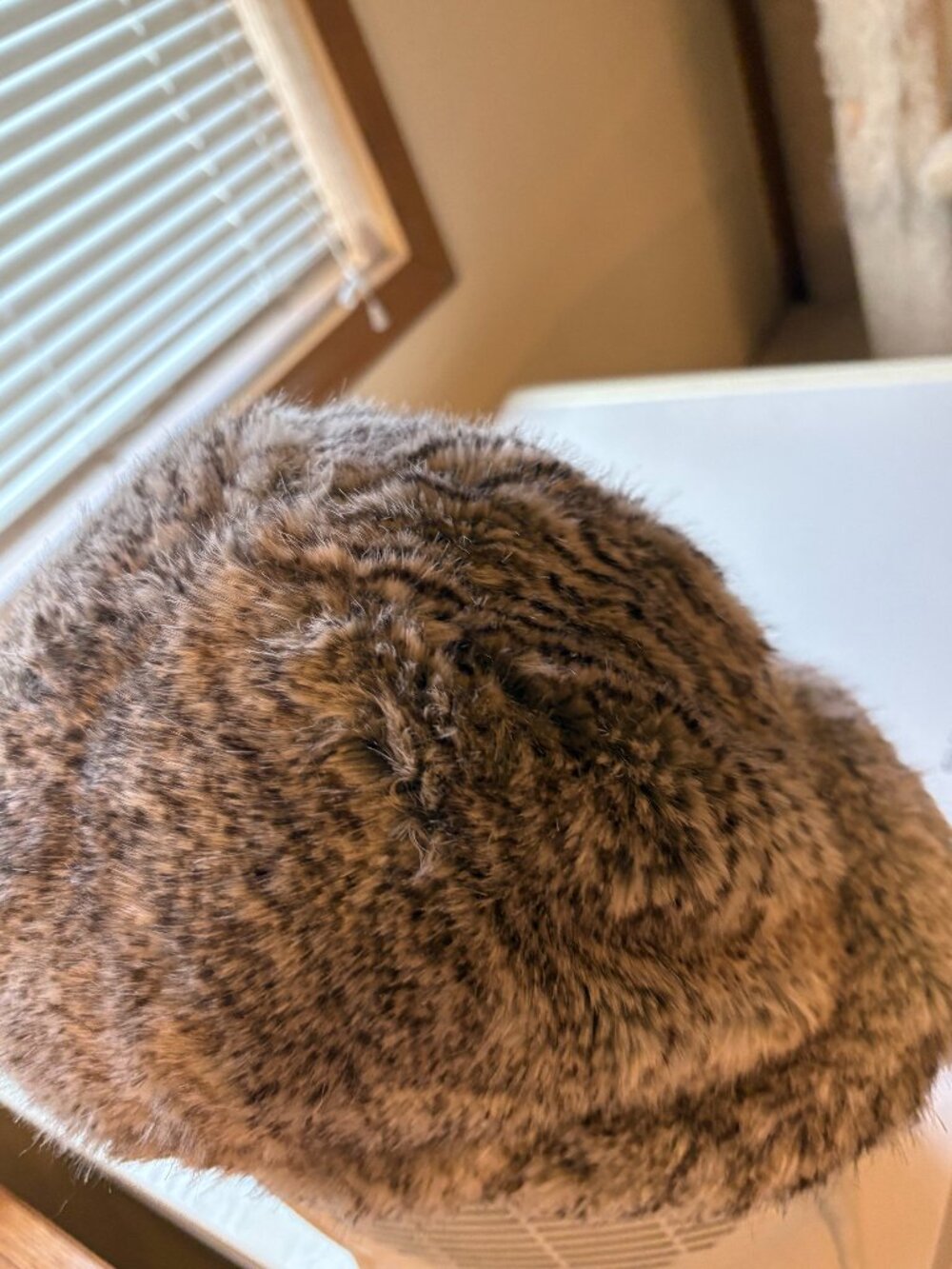 Women's gracehats Brand Minx hat